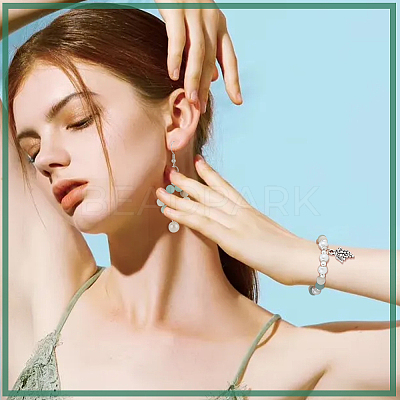 2 Strands Frosted Natural Flower Amazonite Round Beads Strands G-NB0004-45-1