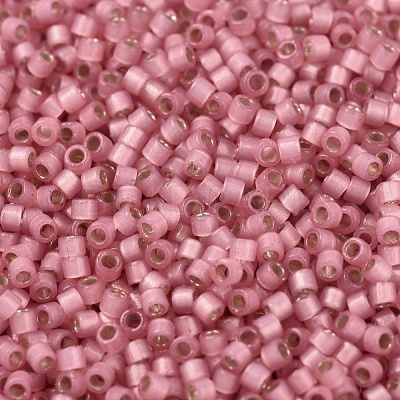 MIYUKI Delica Beads SEED-JP0008-DB2189-1