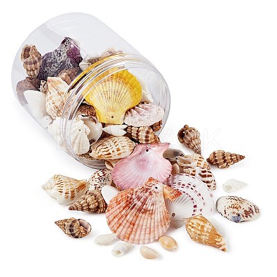 Mixed Shell Beads BSHE-TA0002-05-1