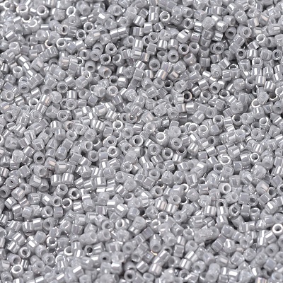 MIYUKI Delica Beads Small SEED-X0054-DBS0252-1