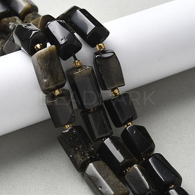 Natural Golden Sheen Obsidian Beads Strands G-N327-06-40-1