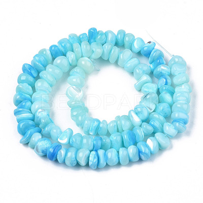 Natural Sea Shell Beads Strands SSHEL-S278-131D-1