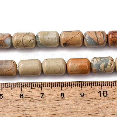 Natural Aqua Terra Jasper Beads Strands G-L624-C03-12x8mm-1