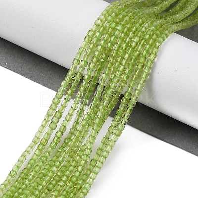 Natural Peridot Beads Stands G-H042-B31-01-1