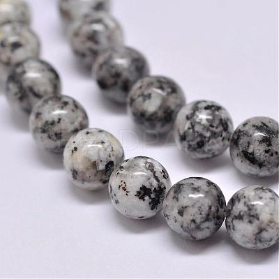 Natural Sesame Jasper/Kiwi Jasper Beads Strands G-F351-10mm-1