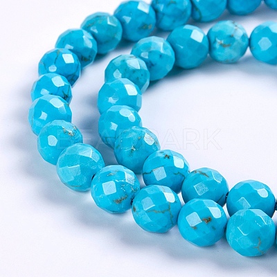 Natural Howlite Beads Strands TURQ-P027-40-1