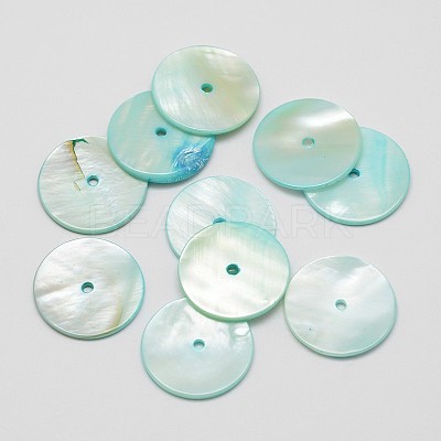 Dyed Natural Shell Beads SHEL-P004-06D-1