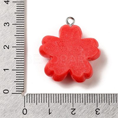 Resin Pendants LS-RESI-A038-03P-01-1
