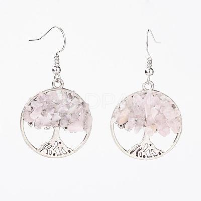 Natural Gemstone Dangle Earrings EJEW-JE02475-1