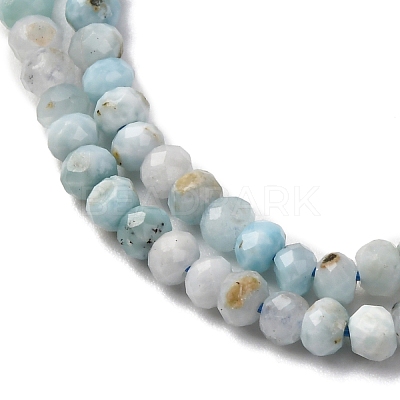 Natural Larimar Beads Strands G-F803-B01-01-1