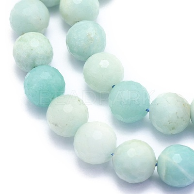 Natural Amazonite Beads Strands G-K310-A02-10mm-1