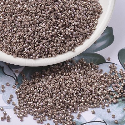 MIYUKI Delica Beads SEED-X0054-DB2271-1