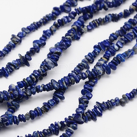 Chips Natural Lapis Lazuli Beads Strands X-G-N0164-46-1