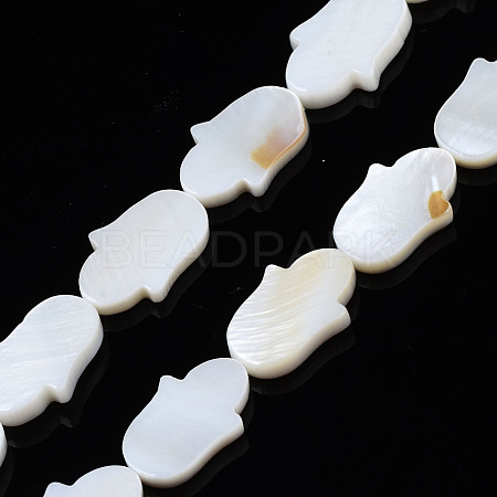 Natural Freshwater Shell Beads Strands SHEL-S278-02-A01-1