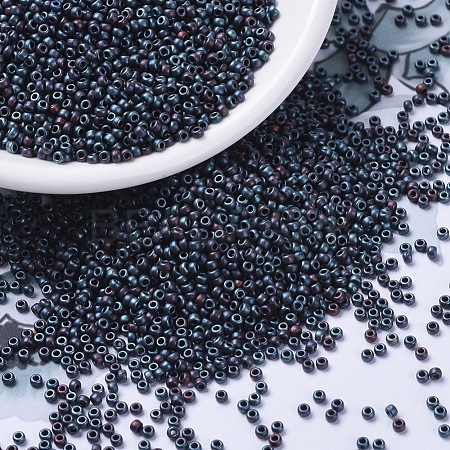 MIYUKI Round Rocailles Beads SEED-G007-RR2009-1