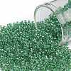 TOHO 11/0 Round Beads X-SEED-TR11-0187-1