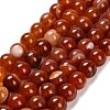 Dyed Natural Agate Beads Strands G-G203-10L-12mm-2