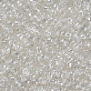 8/0 Glass Seed Beads X1-SEED-A006-3mm-101-2
