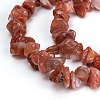 Natural Carnelian Beads Strands G-G011-01-2