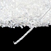 Glass Seed Beads CSDBTC01-2