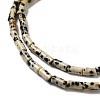 Natural Dalmatian Jasper Beads Strands G-E612-B01-3