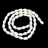 Natural Trochus Shell Beads Strands BSHE-E030-02C-3