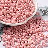 Baking Paint Glass Seed Beads SEED-K009-01A-17-1
