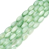 Natural Freshwater Shell Beads Strands SHEL-C010-01-2