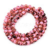 Drawbench Style Dyed Natural Freshwater Shell Beads Strands SHEL-T019-01C-3