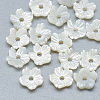 Natural White Shell Beads SSHEL-S260-011-1