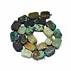 Natural Turquoise Beads Strands G-F725-10-2