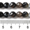 Dyed & Heated Natural Fire Crackle Agate Beads Strands G-P539-B01-10-5