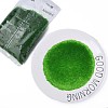15/0 Transparent Czech Glass Seed Beads SEED-N004-004-09-3