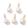 Natural Cultured Freshwater Pearl Pendants PALLOY-JF04963-1
