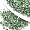 FGB 11/0 Grade A Glass Seed Beads X-SEED-S030-1217-1