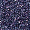 MIYUKI Delica Beads Small SEED-JP0008-DBS0134-3