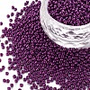 11/0 FGB Grade A Round Glass Seed Beads SEED-N001-A-1056-1