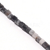 Natural Eagle Eye Stone Beads Strands G-WH0009-07-2