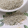 MIYUKI Delica Beads X-SEED-J020-DB0261-1
