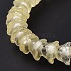 Transparent Glass Beads Strands LAMP-H061-01C-05-5