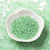 8/0 Glass Seed Beads SEED-Z001-C-E01-2
