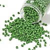 TOHO 6/0 Round Beads X-SEED-TR06-0047F-1