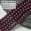 Eco-Friendly Dyed Glass Pearl Beads Strands HY-A008-6mm-RB097-3