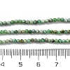 Natural Variscite Beads Strands G-G188-B05-03-5