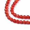 Natural Freshwater Shell Beads Strands SHEL-N003-24-B05-3