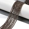 Natural Smoky Quartz Beads Strands X-G-P553-G05-01-2