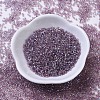 MIYUKI Delica Beads Small SEED-X0054-DBS0173-2