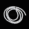 Natural Cultured Freshwater Shell Beads Strands BSHE-H109-03A-3