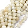 Natural Rainbow Moonstone Beads Strands G-O201A-17C-1