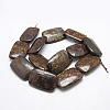 Natural Bronzite Beads Strands G-G229-20x30mm-09-2